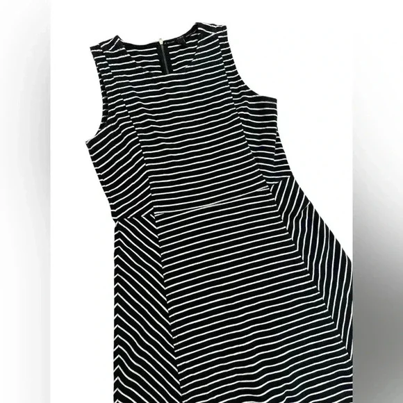 J. Crew Womens Fit Flare Dress Striped Back Zip Cotton Black White Size 8 EUC - Picture 2 of 6
